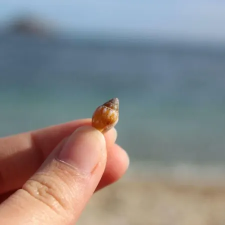 Πανσιόν Su Campanile 3*