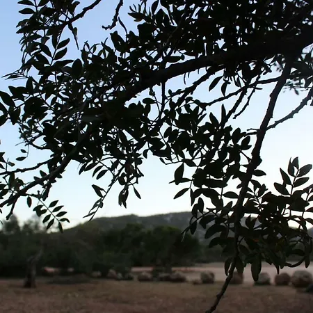 Su Campanile Πανσιόν 3*