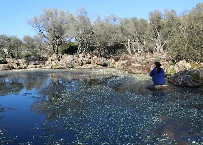 Su Campanile 3* バウネーイ