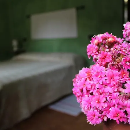 Su Campanile Guest house Baunei