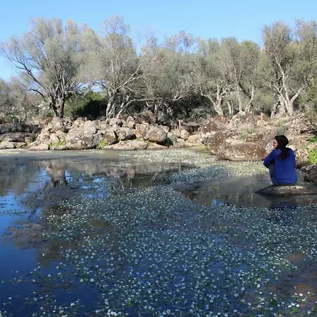 Su Campanile 3* 包内伊