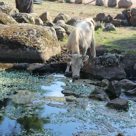 Su Campanile 게스트하우스 3*