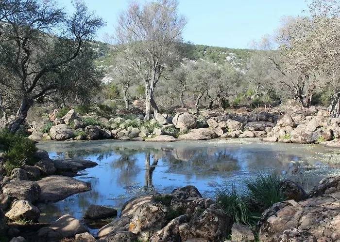 Su Campanile 招待所 包内伊