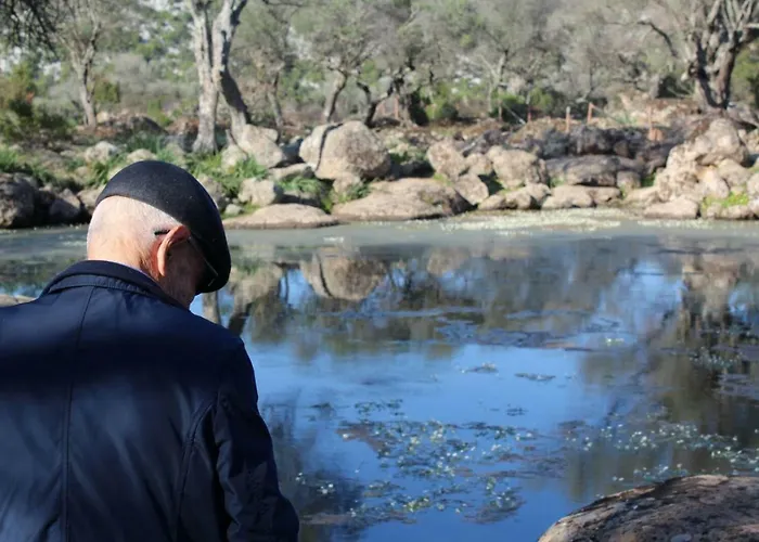 Su Campanile 包内伊