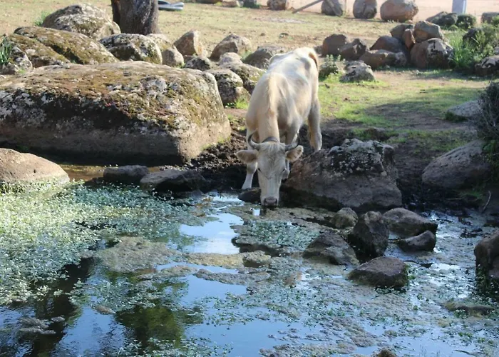 Su Campanile 招待所 3*