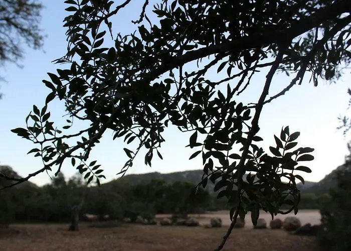 Su Campanile 招待所 3*